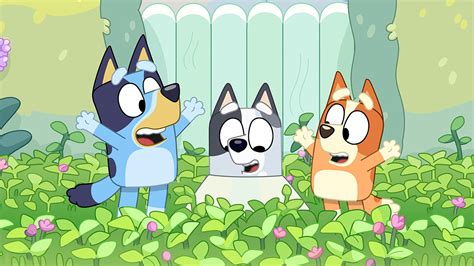 Bluey: Series 2 Muffin Cone : ABC iview