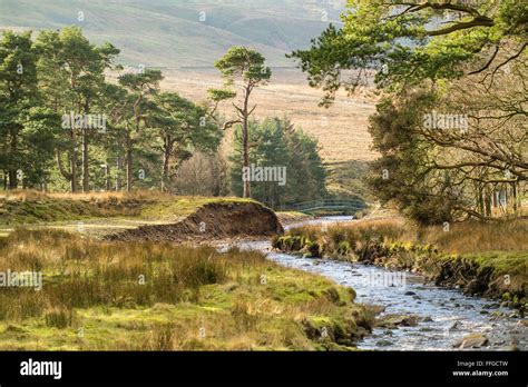 Forest of Bowland A.O.N.B Stock Photo - Alamy