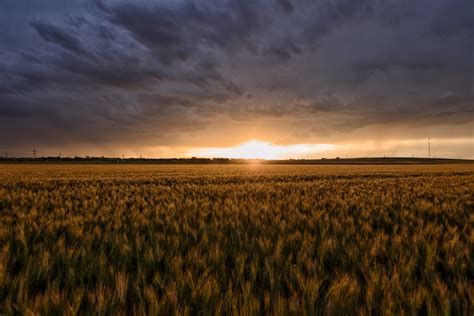 Stormy sunset over a Kansas wheat field (oc) [6000x4000] #Music #IndieArtist #Chicago | Stormy ...