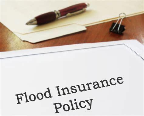 5 Best Private Flood Insurance Companies