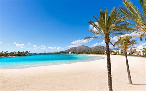 Playa de Alcúdia / Mallorca / Balearic Islands // World Beach Guide