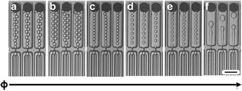 High Throughput Microdroplet Generation. (a-f) Optical micrographs show... | Download Scientific ...