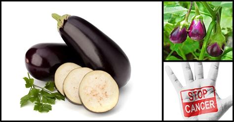 Amazing Benefits Of Eggplant | Dr Farrah MD