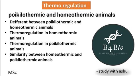 Thermoregulation in poikilothermic and homeothermic animals msc . - YouTube