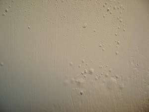 19+ Bathroom Ceiling Paint Bubbling Best - Bathroom Cabinets Phoenix Az