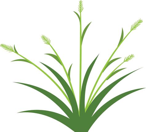 grass icon design template vector isolated white background. grass icon design template 22945664 ...