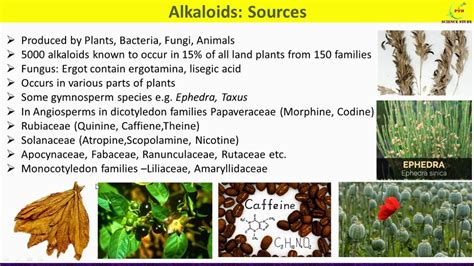 types of alkaloids in plants - Carol Greene