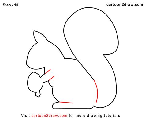 20+ Squirrel Sketch Easy | NeaveNasrina