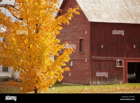 Fall color, Peacham, Vermont, USA Stock Photo - Alamy