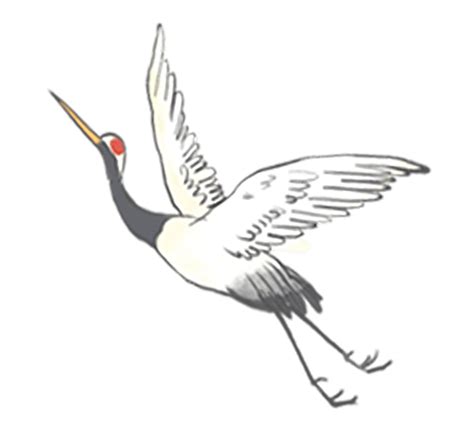 Crane Flying Crane Bird White Crane, Crane, Flying Crane, Birds PNG Transparent Clipart Image ...