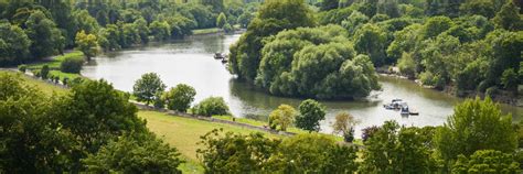 Richmond Park | Richmond, Kew & Hampton Court, London | Attractions ...