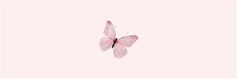 pink butterfly aesthetic header | Twitter header pink, Pink twitter ...