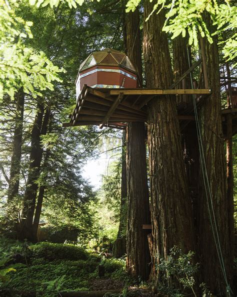 Redwood Treehouse Airbnb in California: Ultimate Redwood Getaway - Miss Rover