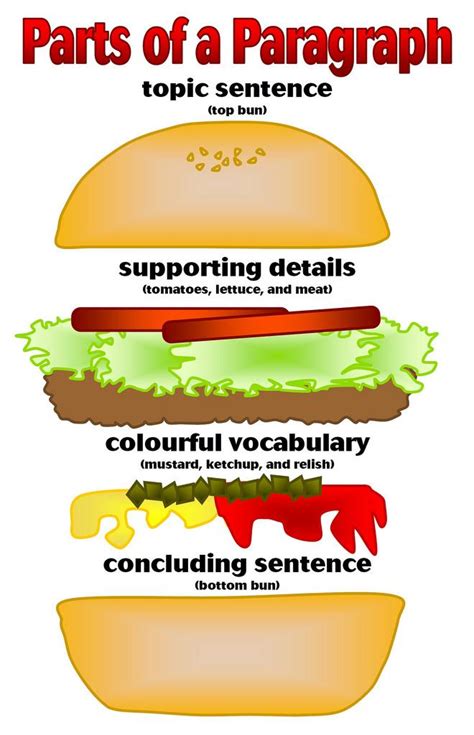 Hamburger Model For Writing Paragraphs