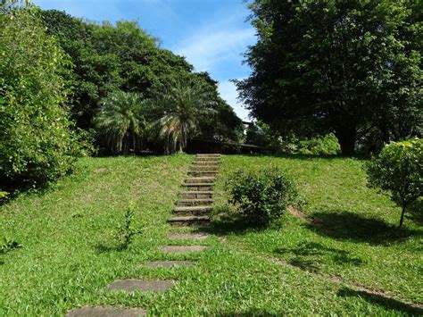 图片素材 : 树, 性质, 发展, 领域, 草坪, 农村, 国家, 池塘, 乡村, 弹簧, 绿色, 风景, 后院, 植物学, 花园, 季节, 户外, 英国, 植被, 灌木, 种植园, 植物园 ...