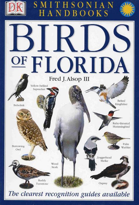 Pin on Amazing Florida Birds