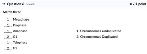 Solved 1. Chromosomes Unduplicated 2. Chromosomes Duplicated | Chegg.com