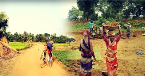 Deep in the Sundarbans, India's Best Gram Panchayat Is Driving Real ...