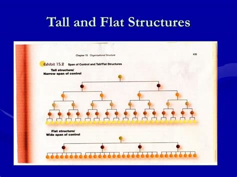 Tall Vs Flat Organizational Structure at Wallace Burnett blog