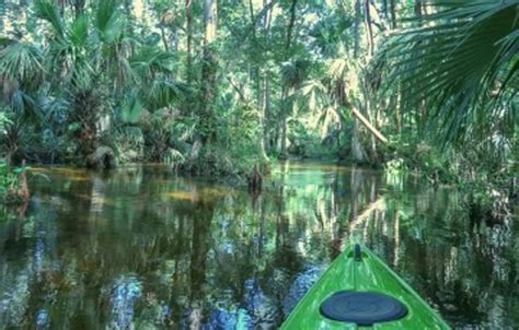 Wekiva Springs State Park - Wekiva River | Paddling.com