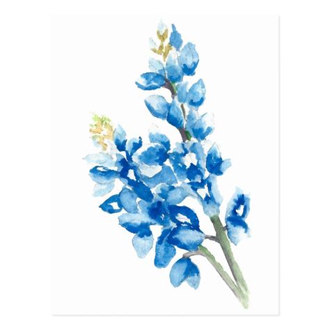 Watercolor Bluebonnets Postcard | Zazzle.com | Blue flower painting ...