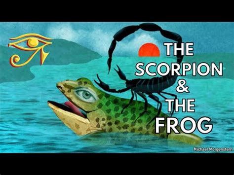 The Scorpion and the Frog : u/MythUnleashed