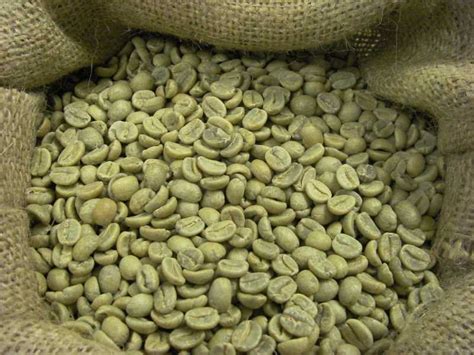 Peruvian green coffee re-allowed to enter Brazil - Comunicaffe International