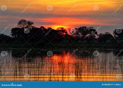 Sunset in the Okavango Delta at Sunset, Botswana Stock Image - Image of ...