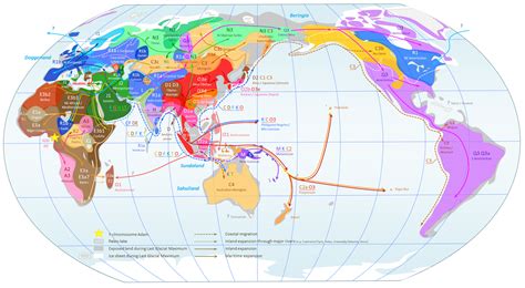 Dienekes’ Anthropology Blog: World map of Y-chromosome haplogroups