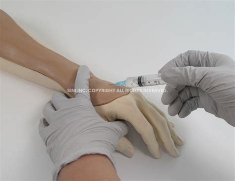 Intravenous Injection Arm Trainer - SINI Medical Simulation