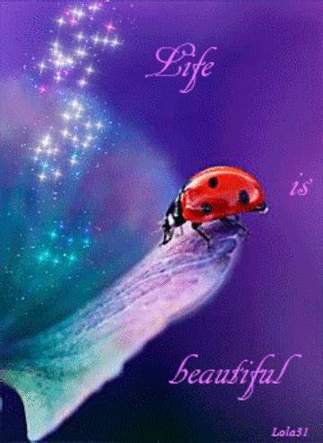 LIFE IS BEAUTIFUL, ENJOY YOUR DAY!! ♡♥♡ Animals Images, Nature Animals, Animals And Pets, Cute ...