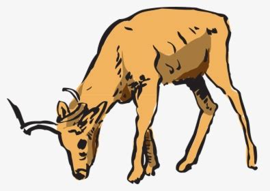 Bambi Thumper Deer Faline - Deer Eating Grass Drawing, HD Png Download - kindpng