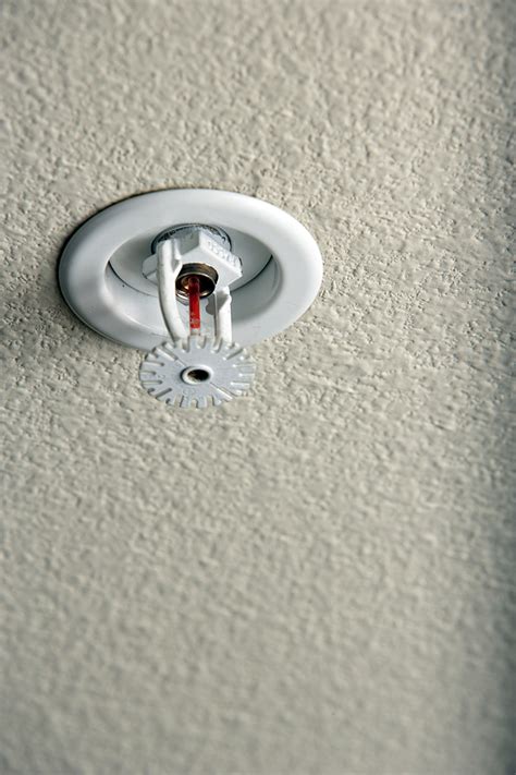 Ceiling Sprinkler Head Installation | Shelly Lighting