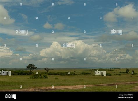 landscape of the Maasai Mara Stock Photo - Alamy