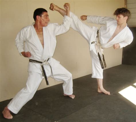 Shotokan How to block a kick | Karate martial arts, Shotokan, Martial arts