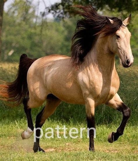 Buckskin Horse Cross Stitch Pattern, Horse Cross Stitch, Pdf Pattern, Counted Cross Stitch ...