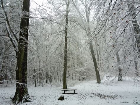 German Winter Landscape stock photo. Image of water, liepnitzsee - 75952842