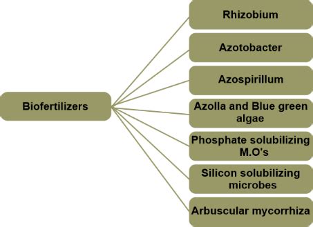 Advantages and Disadvantages of Biofertilizers - Javatpoint