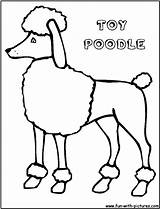Poodle Coloring Kids Dog Pages Color Printable Poodles Dogs Puppy  sketch template