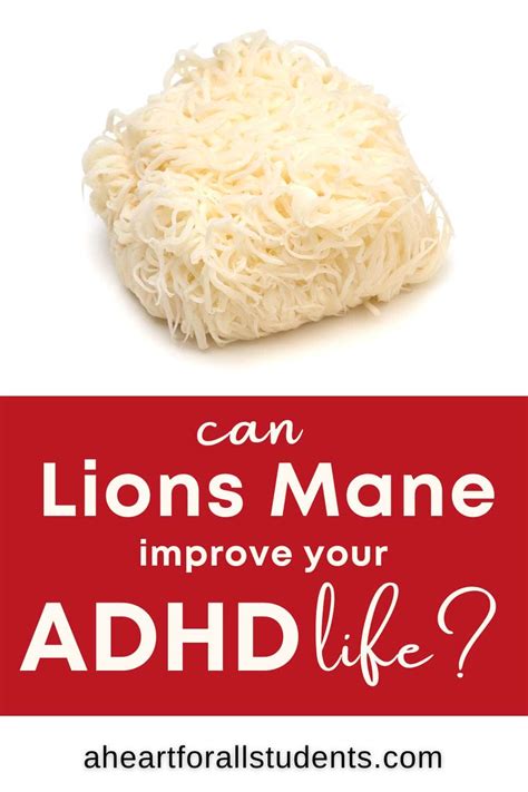 Lions Mane for ADHD: Why I Use It for My ADHD Family - A Heart For All Students