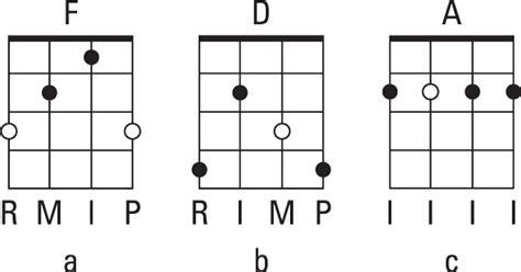 Mapping Out Up-the-Neck Chords on the Bluegrass Banjo - dummies