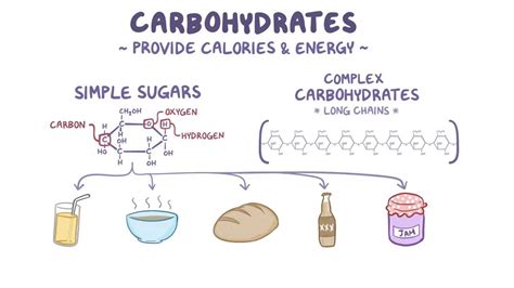 Carbohydrates and sugars: Video, Anatomy & Definition | Osmosis