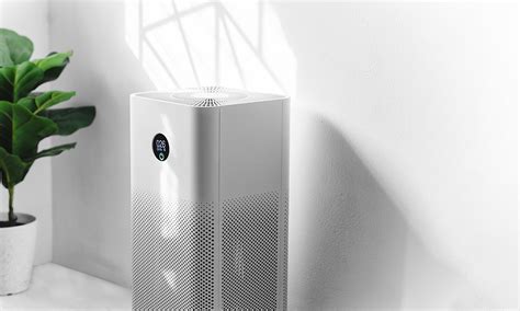 Which Air Purifier Brand to Buy in 2024 - Which?