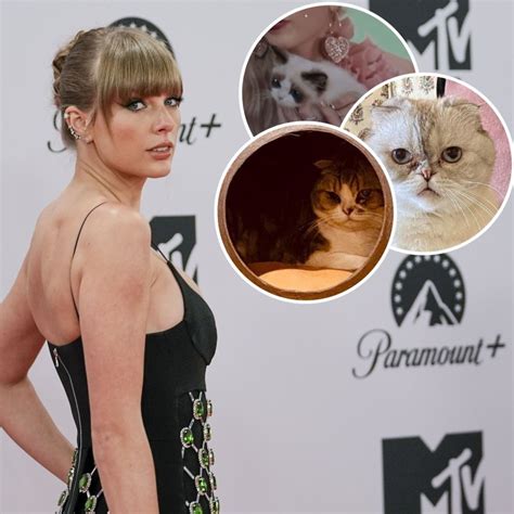 Taylor Swift Cats Guide: Names, Net Worths, Photos | J-14