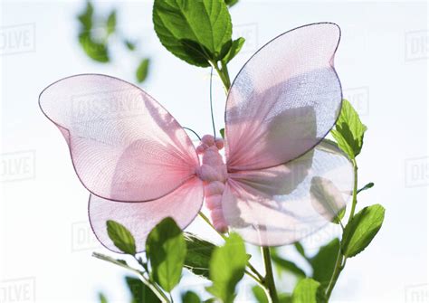 Fake butterfly - Stock Photo - Dissolve