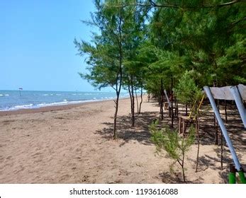 Marine Background Beach View Rustic Wooden Stock Photo 2228192103 | Shutterstock