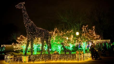 Wild Lights at Saint Louis Zoo back in November | ksdk.com