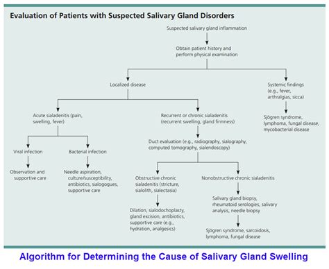 Salivary Gland Disorders – Exodontia