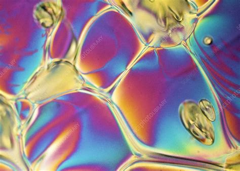 Nematic liquid crystals - Stock Image - A608/0026 - Science Photo Library