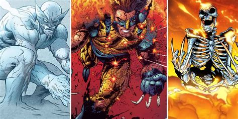 Regeneration X: The 15 Most Ridiculously OP Uses Of Wolverine's Healing ...